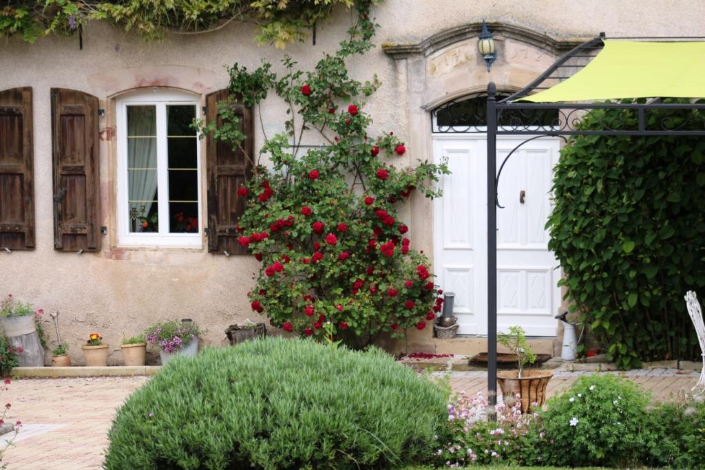 Le Clos D'Albray - Chambres D'Hotes Et Gite Comps-la-Grand-Ville Kültér fotó